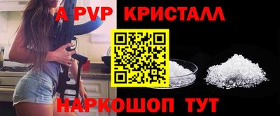 СК Конаково