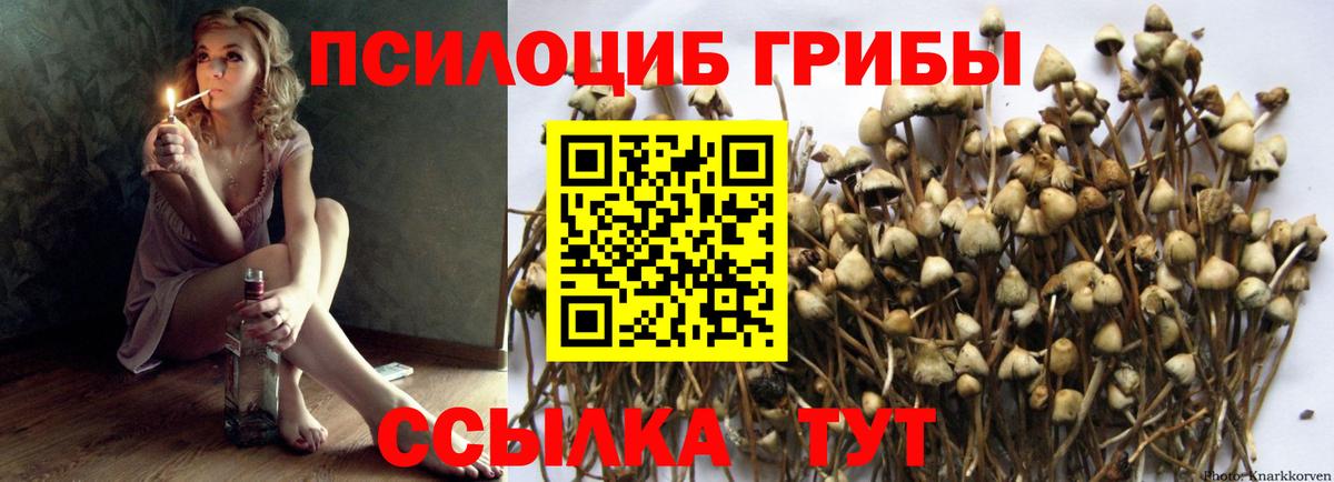 Псилоцибиновые грибы MAGIC MUSHROOMS Волхов