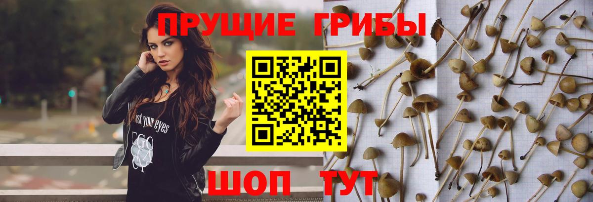 Псилоцибиновые грибы Magic Shrooms  Галлюциногенные грибы мицелий  Вход с VPN  дарнет шоп  Волхов 